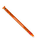 Legami Erasable Gel Pen - Tiger